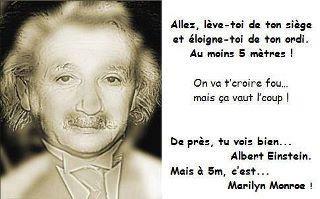 Illusion d'optique : Albert Einstein ou Marylin Monroe ?