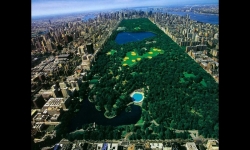 Diaporamas PPS - Le Central Park à New York