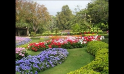 Diaporamas PPS - Douceur des jardins thaïlandais