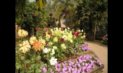 Diaporamas PPS - Douceur des jardins thaïlandais