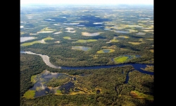 Diaporamas PPS - Le Pantanal