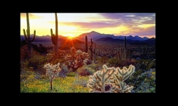 Diaporamas PPS - Le désert d'Arizona
