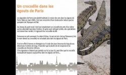 Diaporamas PPS - 100 anecdotes insolites sur Paris