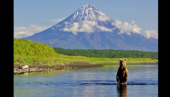 Voyage au Kamtchatka, au Pays des Ours