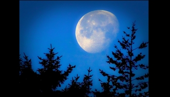La luna - Luces en la noche